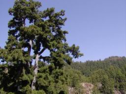 Resize of P1010196.JPG